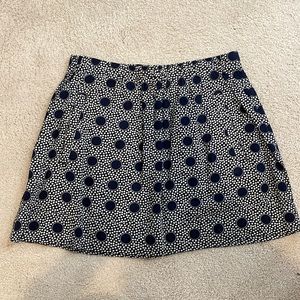 Jcrew skirt